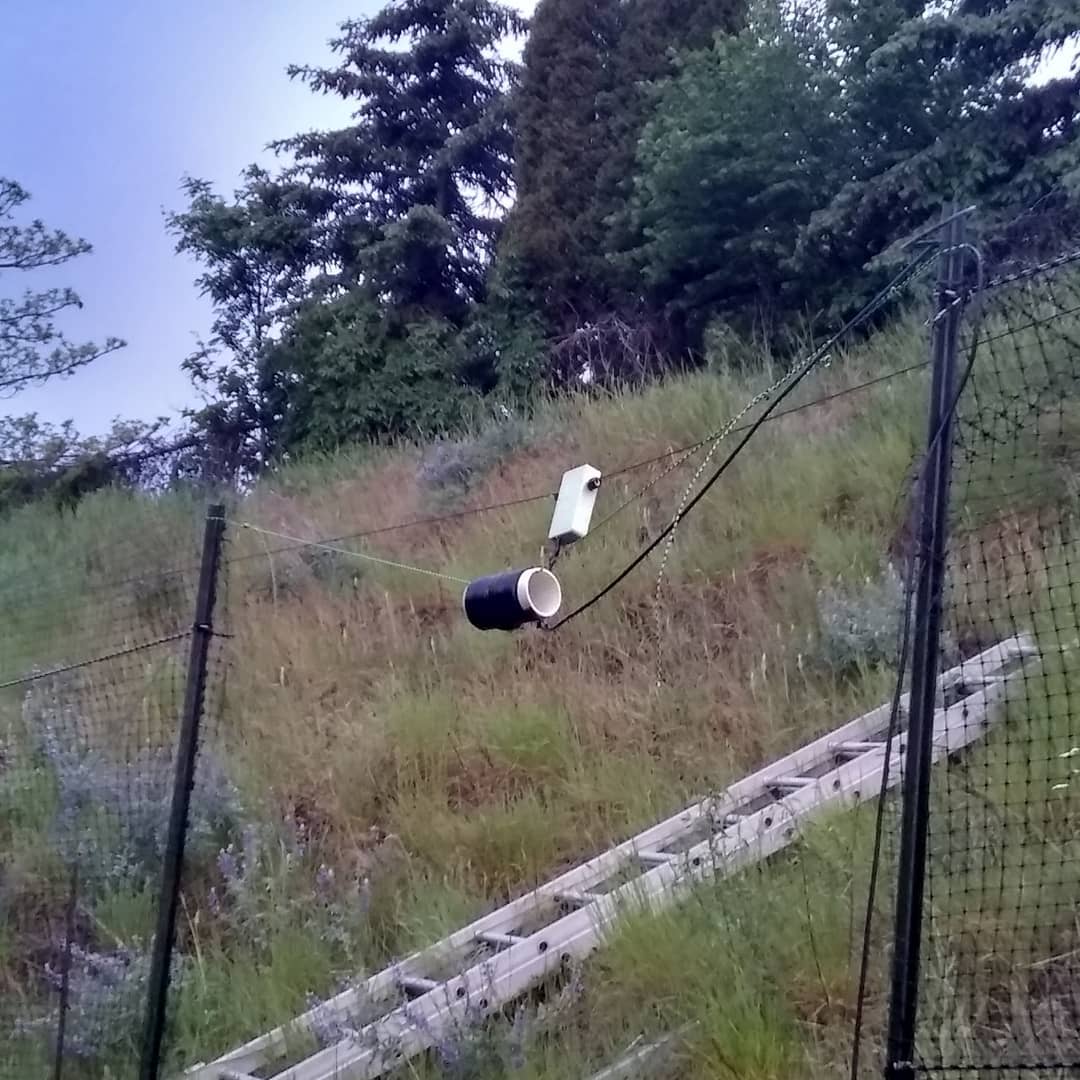 feedline choke on antenna