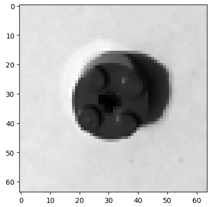 Processed image ready for classification